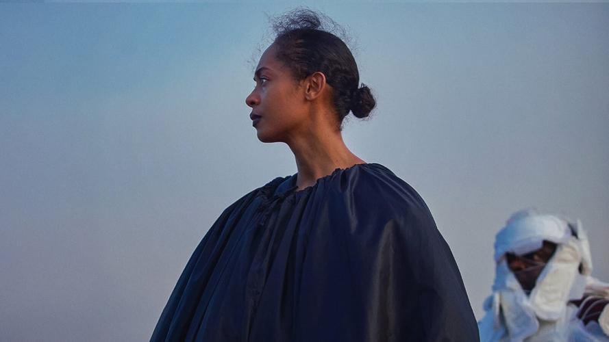 On Becoming a Guinea Fowl1