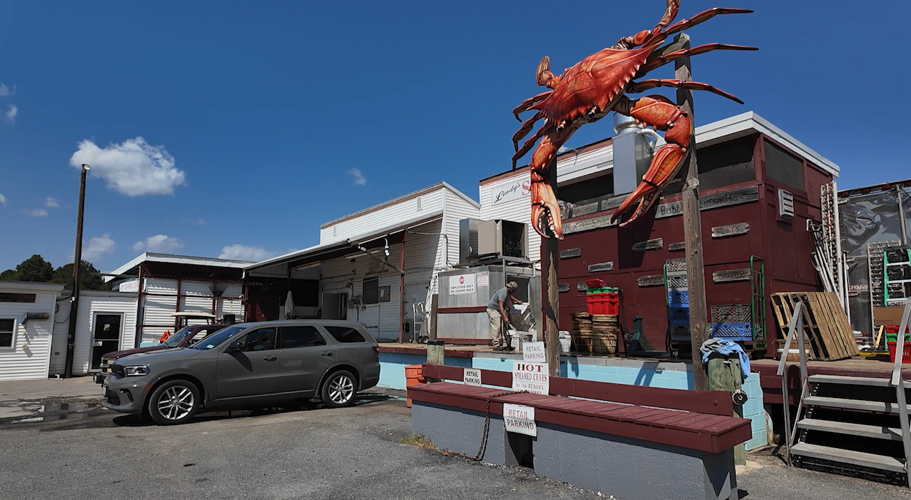 Lindy's Seafood in Woolford, Maryland is a seafood business that focuses on crab meat but is looking to break out into the catfish processing industry.