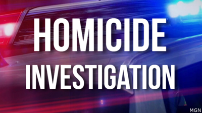 homicide investigation generic