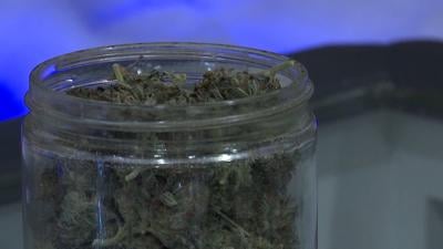 Marijuana