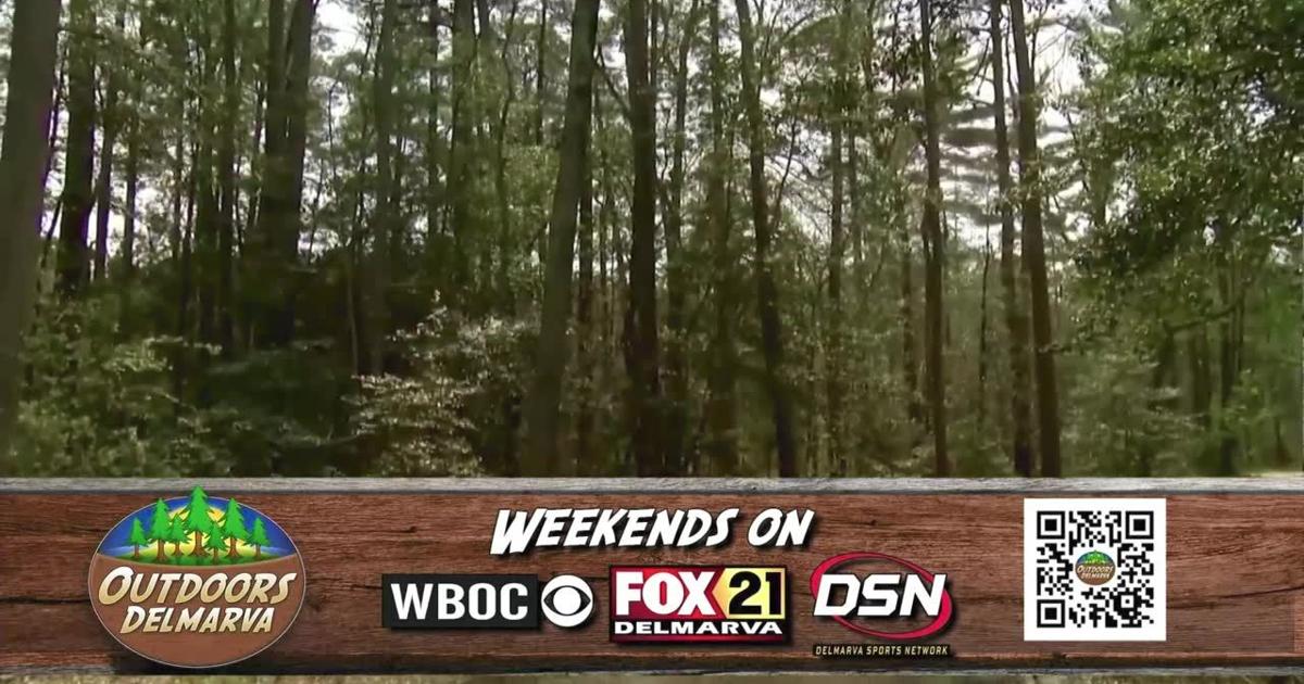 WBOC Sunday Morning News | Latest Newscasts | wboc.com wboc-sunday-morning-news-latest-newscasts-wboc-com
