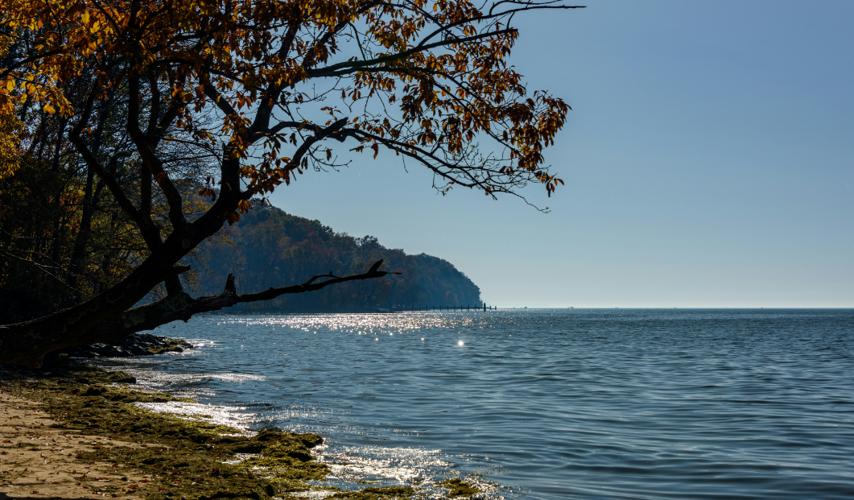 The Future of Oyster Reefs in the Chesapeake Bay Watershed Agreement