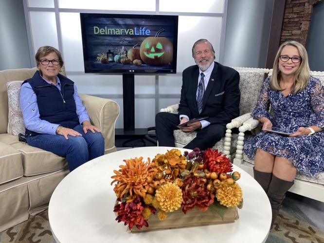 Seniors Helping Seniors