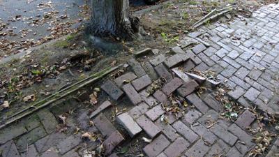 sidewalk