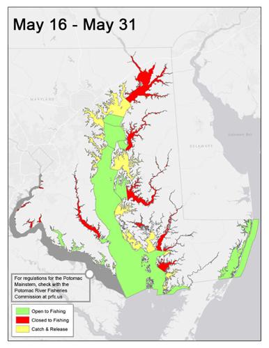 May16th - May 31st Rockfish Regulation Map