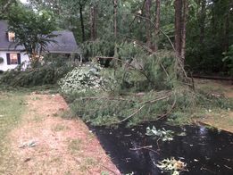 StormDamage0803.jpg
