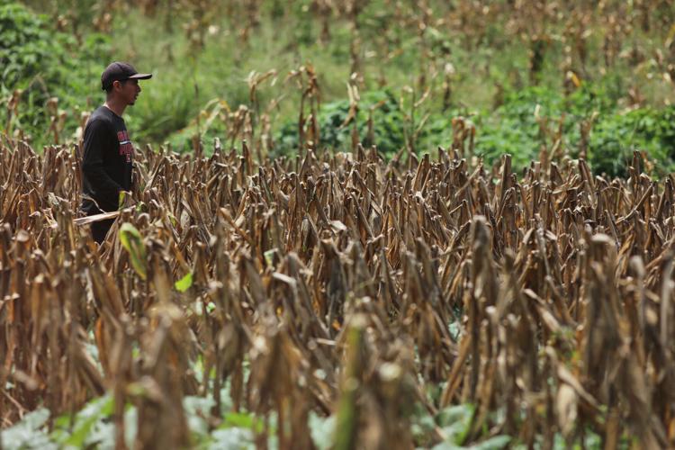 El Salvador El Niño Drought