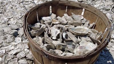 DNR Considers Paying Fair Market Value For Fresh Oyster Shells