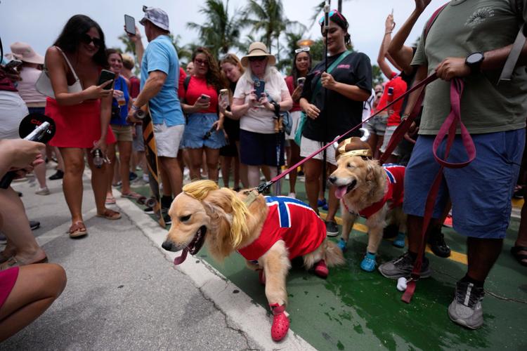 APTOPIX Belgium Spain WCup Soccer