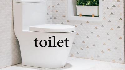 Travels With Charlie: Toilet / Toilette