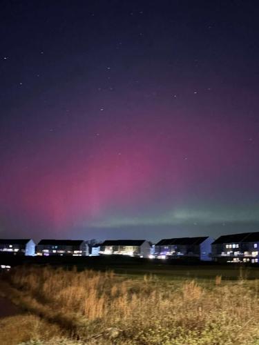 Carrie Sharp Millsboro.jpg