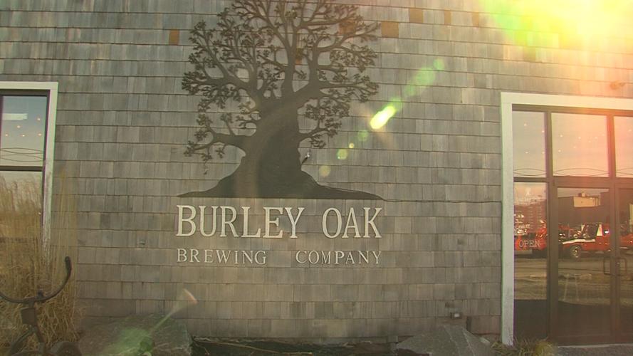 Burely Oak