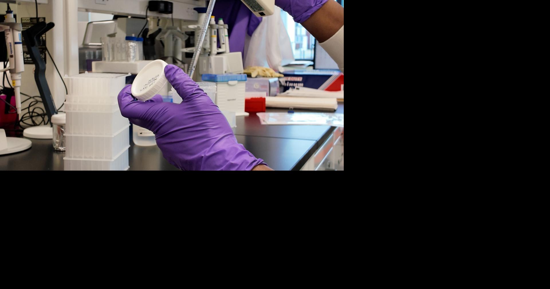 Testing in Wicomico County is speeding up Maryland's response to bird flu