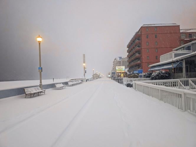 Leah Luzardo Magnone Ocean City