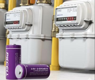 Top 5 Reasons China Leading ER34615 LiSOCl2 Battery Suppliers Are Dominating the Smart Meter Market