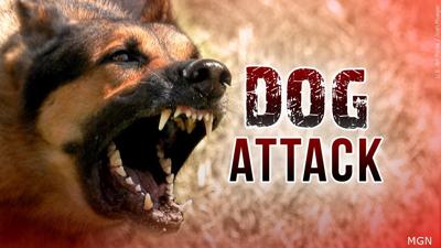 Dog Attack Generic