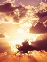 Donna Carolyn Merritt