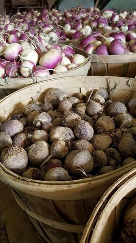 12744538_953505121353021_3576169157122454108_n