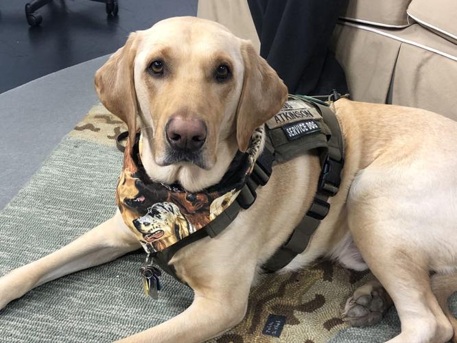 Gus of U.S. Kennels, Inc.