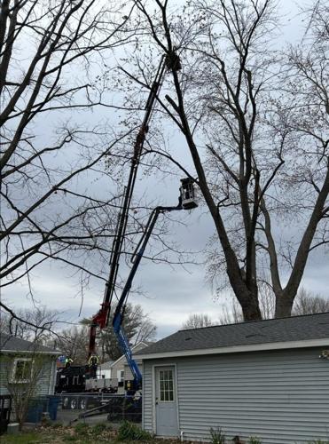 Local Tree Service Built on Safety and Honest Pricing
