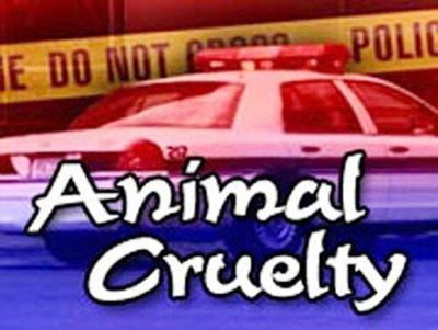 Easton Man Charged With Animal Cruelty