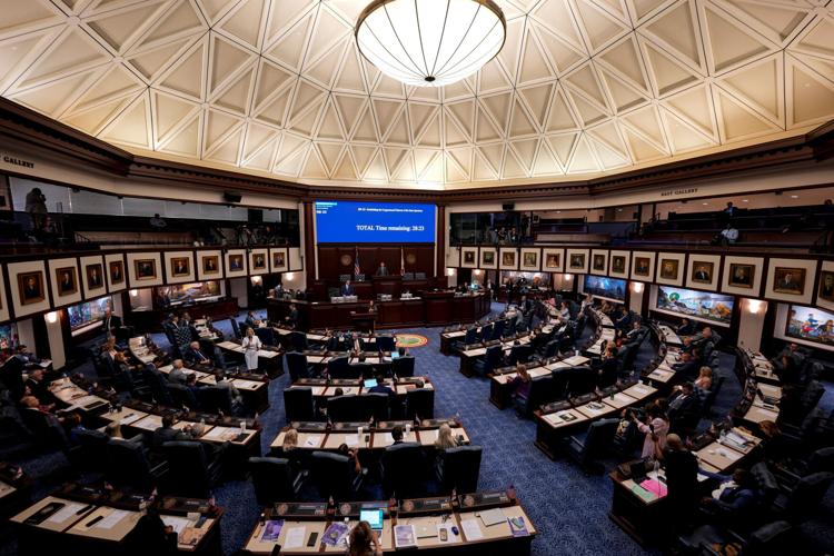 Election 2026 Florida Redistricting