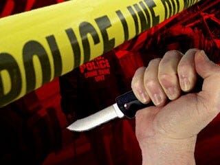Man with Knife Tries to Rob Delaware Pet Store