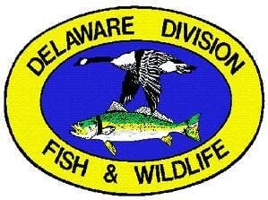 Delaware: No closed season for invasive fish