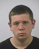 lewis, robert leon jr 022395