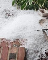 Hail 6/8/23
