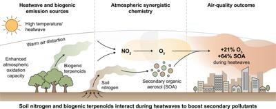 Heatwaves turn nature against itself: How forests and soils fuel a dangerous air pollution feedback loop