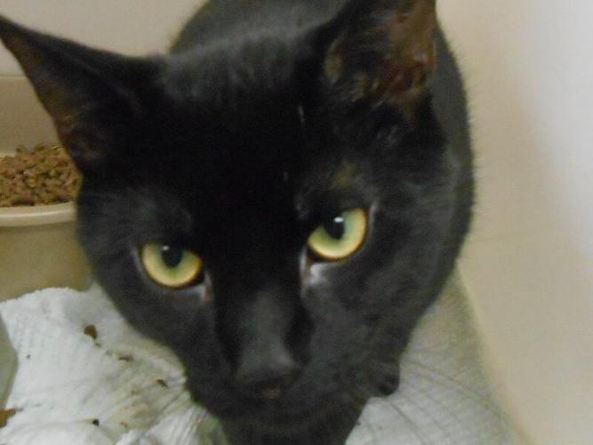 binx