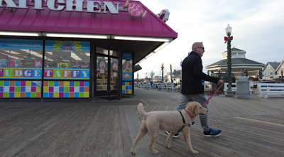 Dogs on The Boardwalk