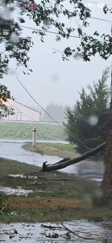 Power lines down
