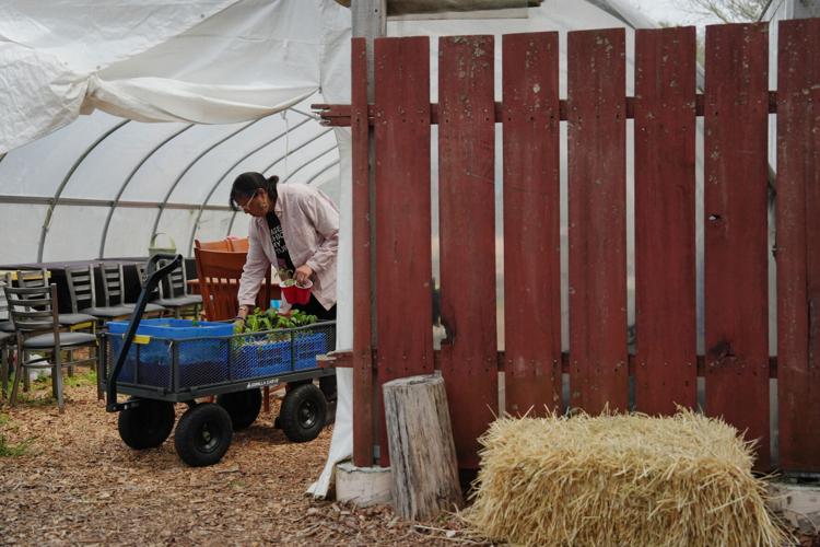 Climate Farm Bill Indigenous