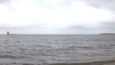 Fisherman Contracts Rash at Cape Henlopen State Park