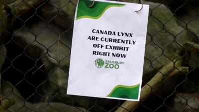 Salisbury Zoo Moves to Protect Animals from Smoke