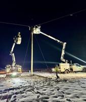Choptank Electric reports all storm-related outages repaired