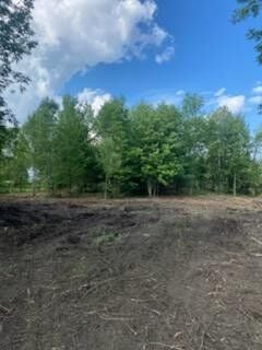 Upstate NY Brush Control Opens Forestry Mulching in Saratoga Springs