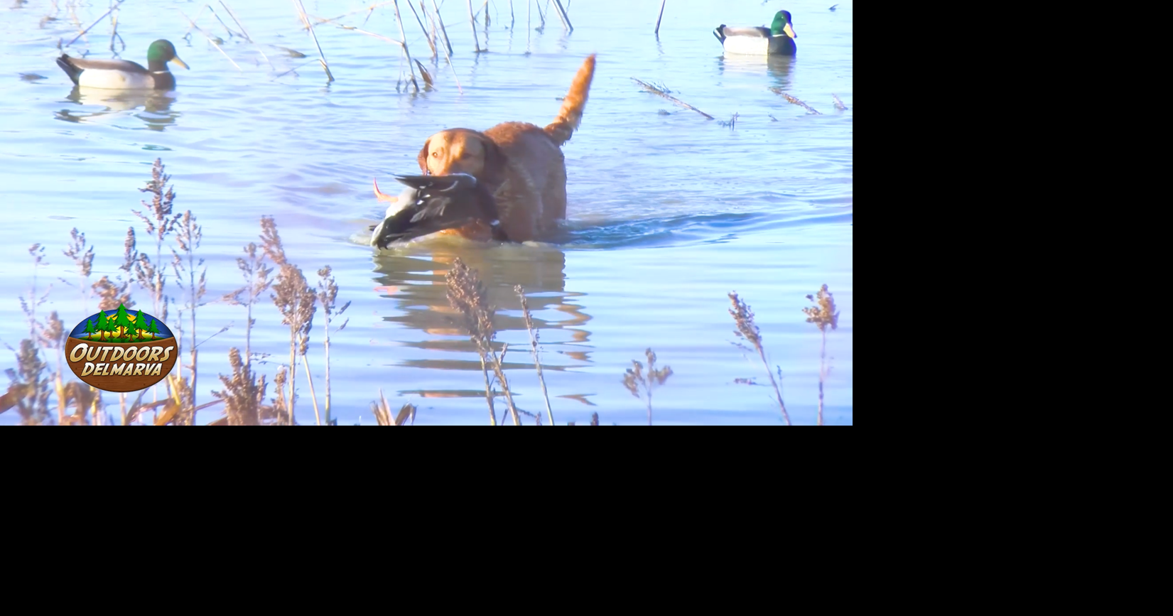 Grand National Waterfowl Association | Outdoors Delmarva | wboc.com