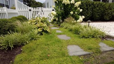 Green Space in Dewey Beach