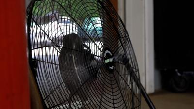 Fan