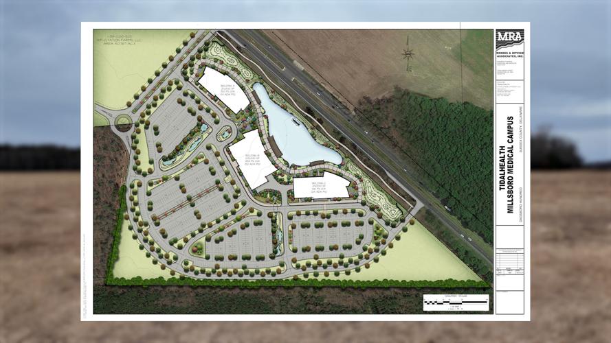 Tidalhealth Site Plan