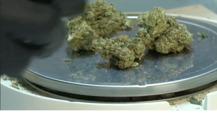 Delmar, DE Town Council Votes to Pass Ordinance Restricting Recreational Marijuana