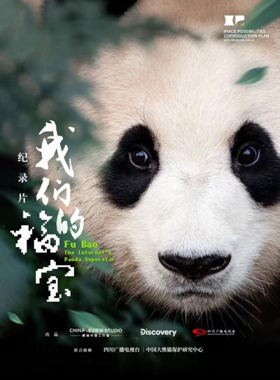 Chinese Ambassador to Indonesia Reposts Panda Cub Rio's New Year Greeting