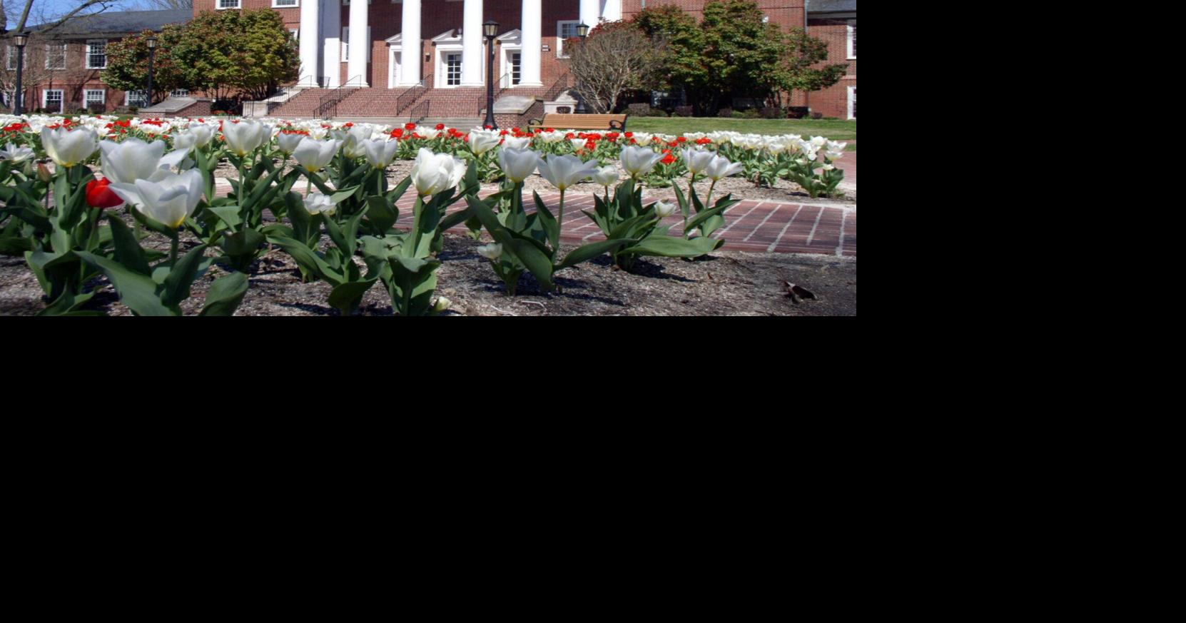 Umes Awarded Federal Grant To Renovate Historic Trigg Hall Maryland News 1233