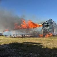 Manure combustion burns down Ridgely farm building