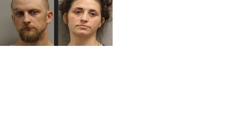UPDATE: Wanted Animal Cruelty Suspect Arrested with at Least 14 More Dogs in Car - Vimarsana News