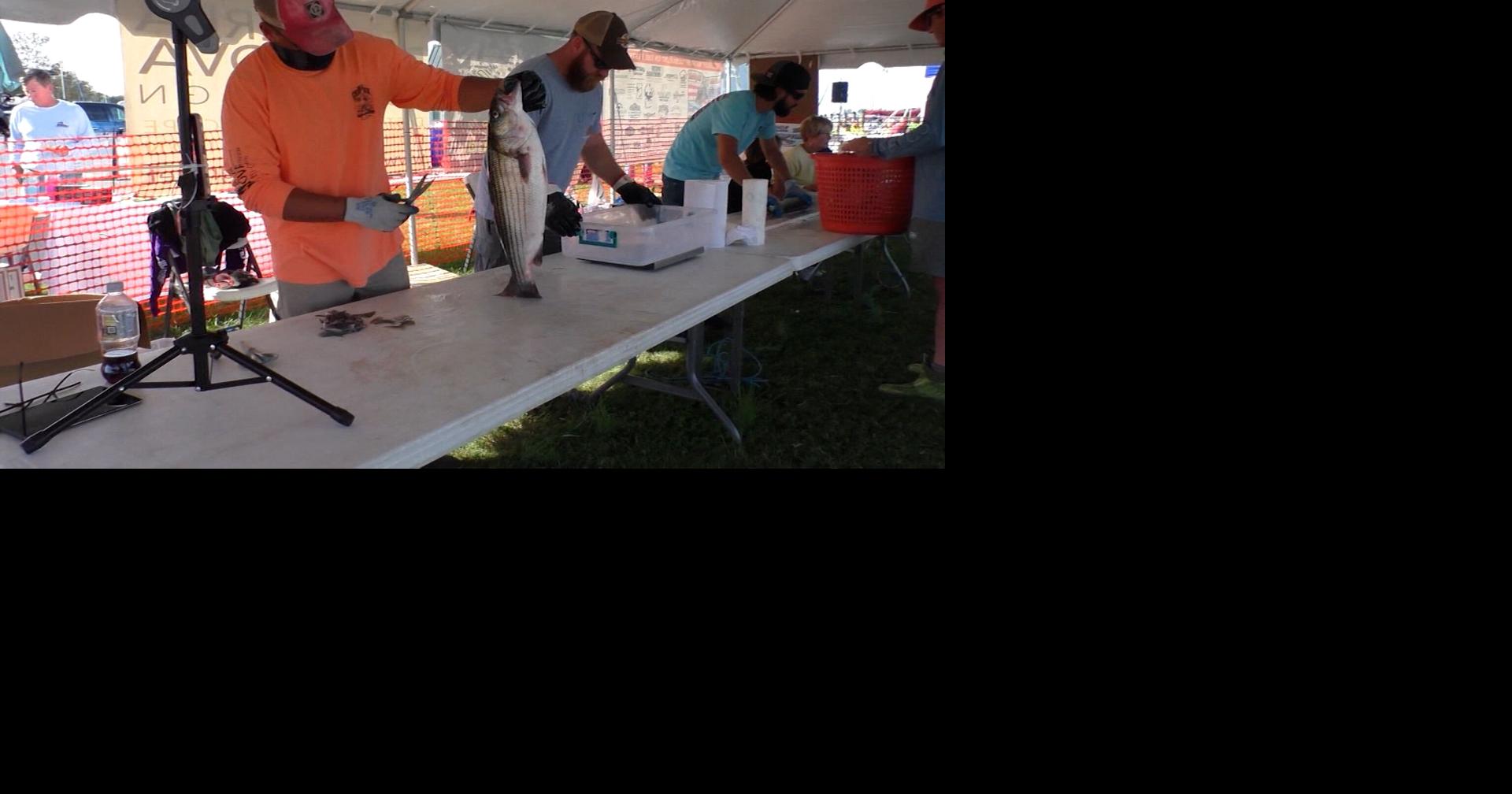 ASMFC Annual Meeting Discusses Possible Rockfish Regulations Latest