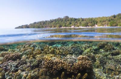 Best Resort in Sulawesi, Reconnect, Opens Private Island Hire for Weddings, Retreats and Wellness Groups